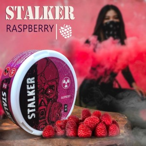 Stalker Raspberry