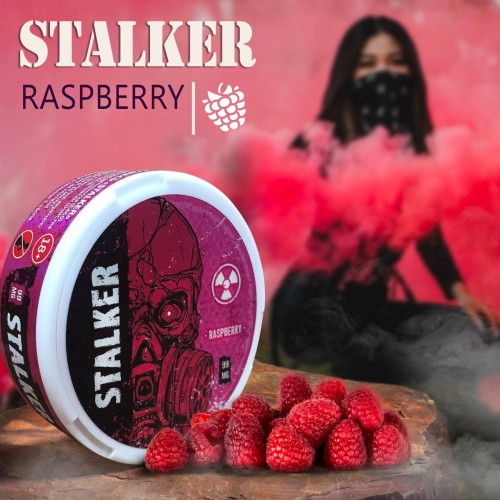 Насыщенный вкус чая Stalker Raspberry Насыщенный вкус чая Stalker Raspberry