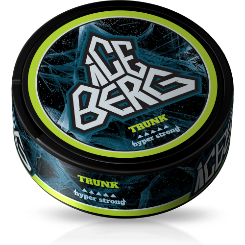 Свежесть и стиль: мужские плавки Iceberg Trunk для ярких летних дней Свежесть и стиль: мужские плавки Iceberg Trunk для ярких летних дней
